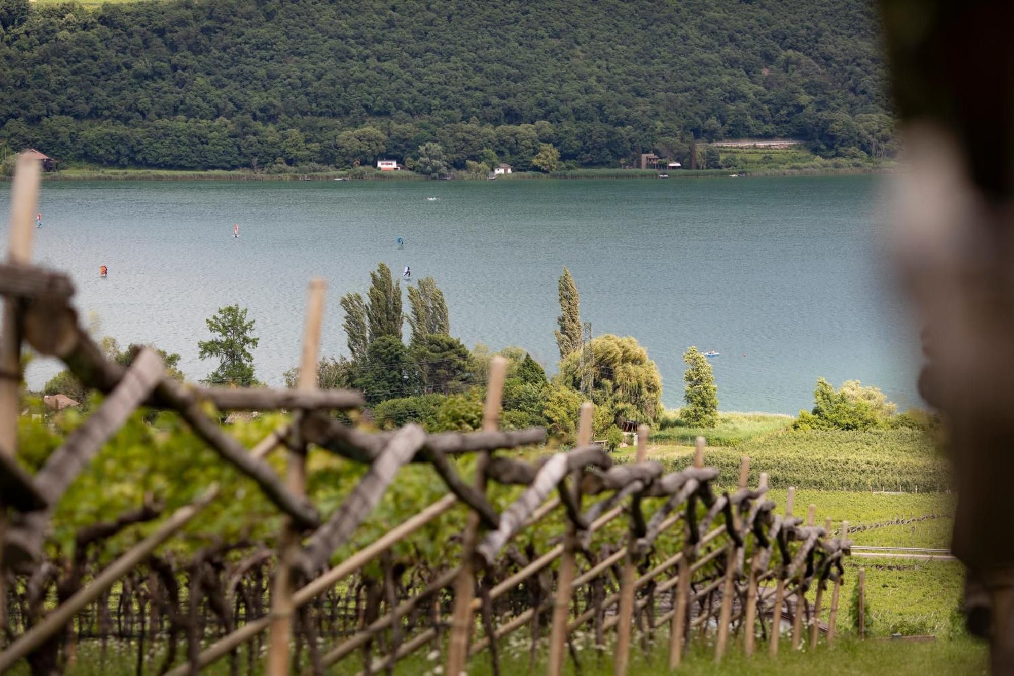 Arzenhof, Baron Di Pauli Appartement Caldaro Buitenkant foto