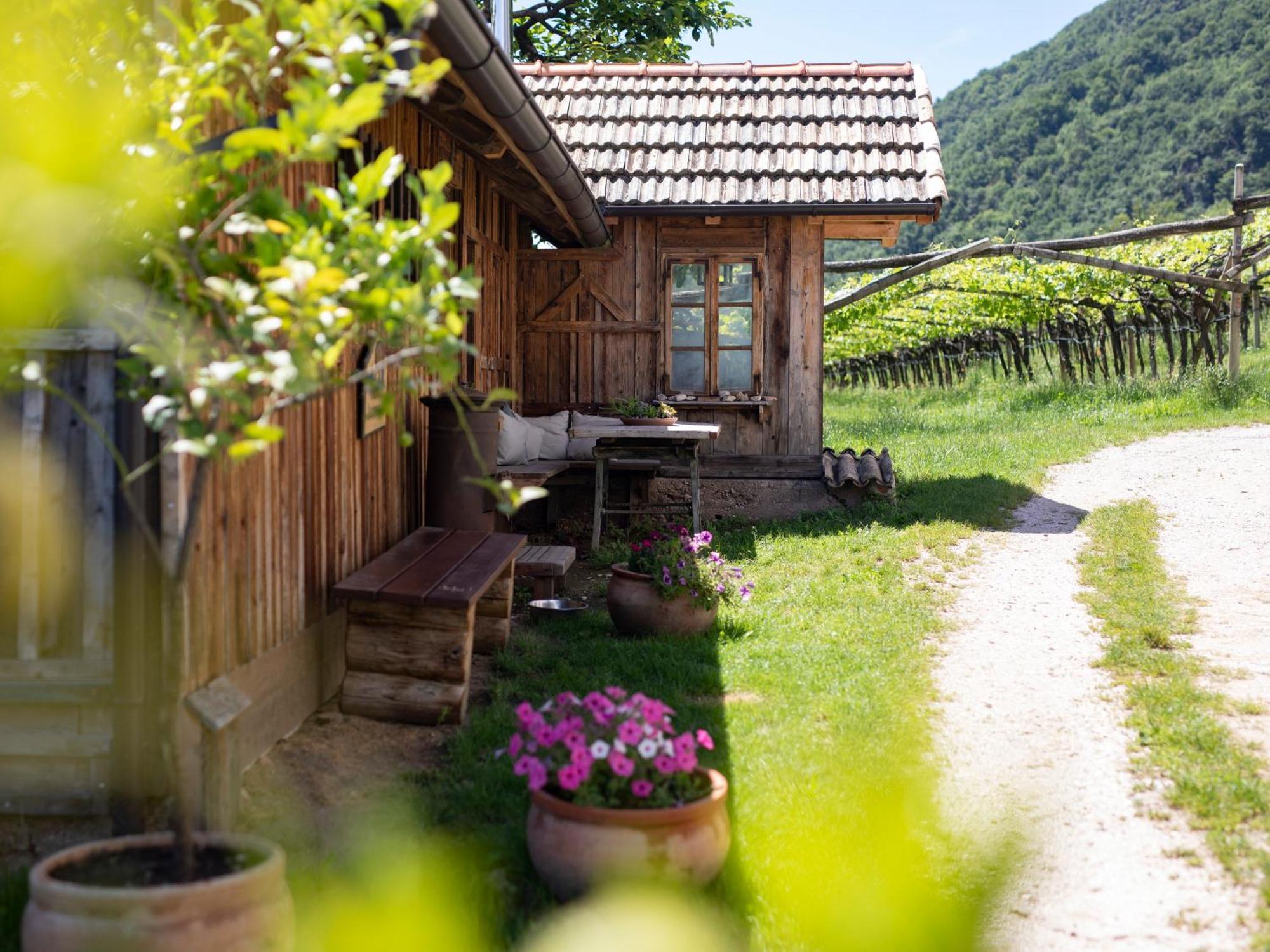 Arzenhof, Baron Di Pauli Appartement Caldaro Buitenkant foto